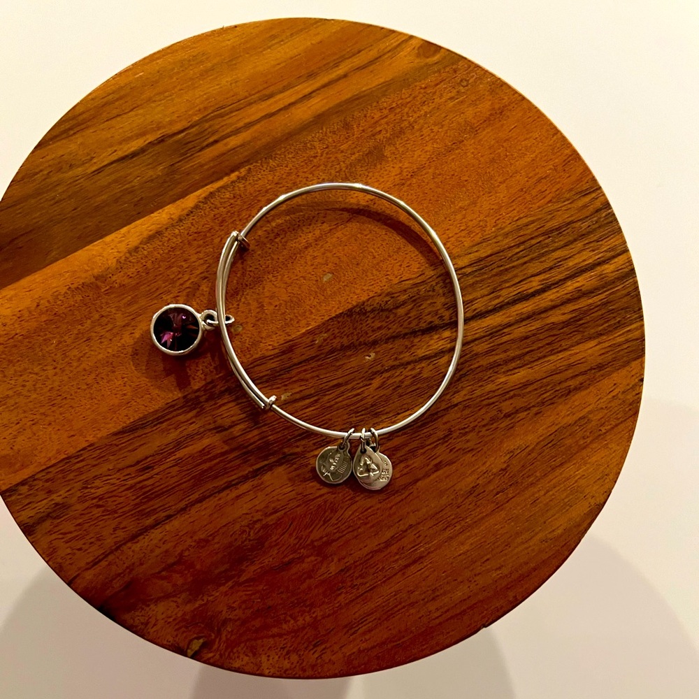 Alex and Ani February/Amethyst birthstone bangle bracelet